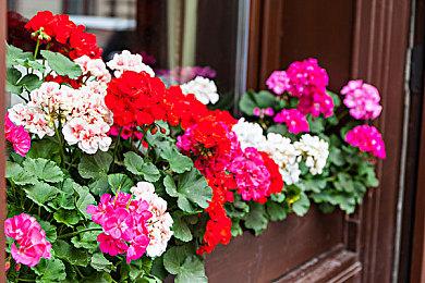 《自杀小队：消灭正义联盟》PC版移除了D加密